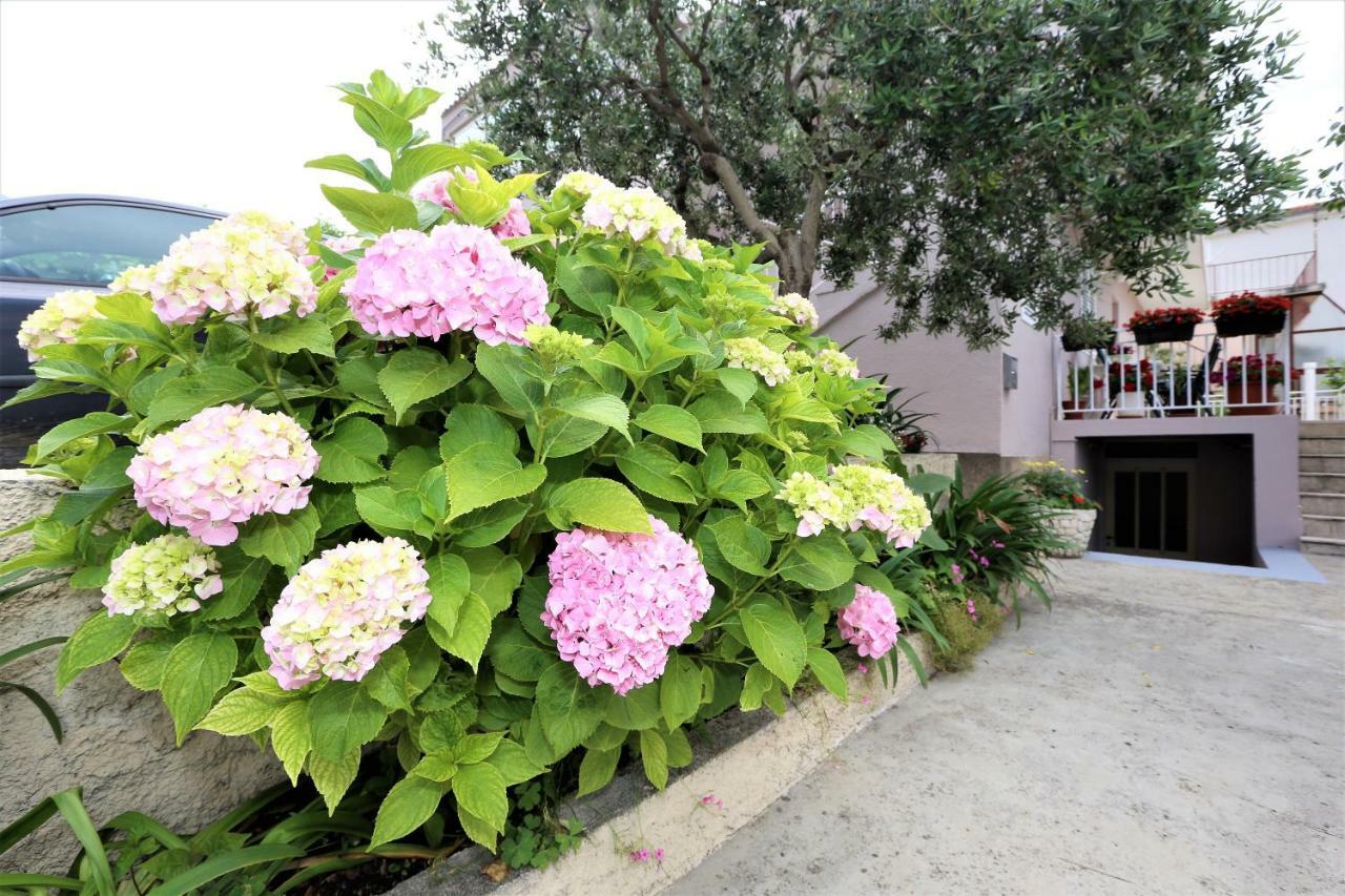 Apartmani Vinko Baška Voda Exterior foto